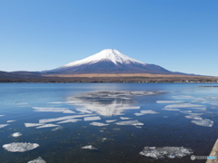 あなたはやっぱり日本一の山だね