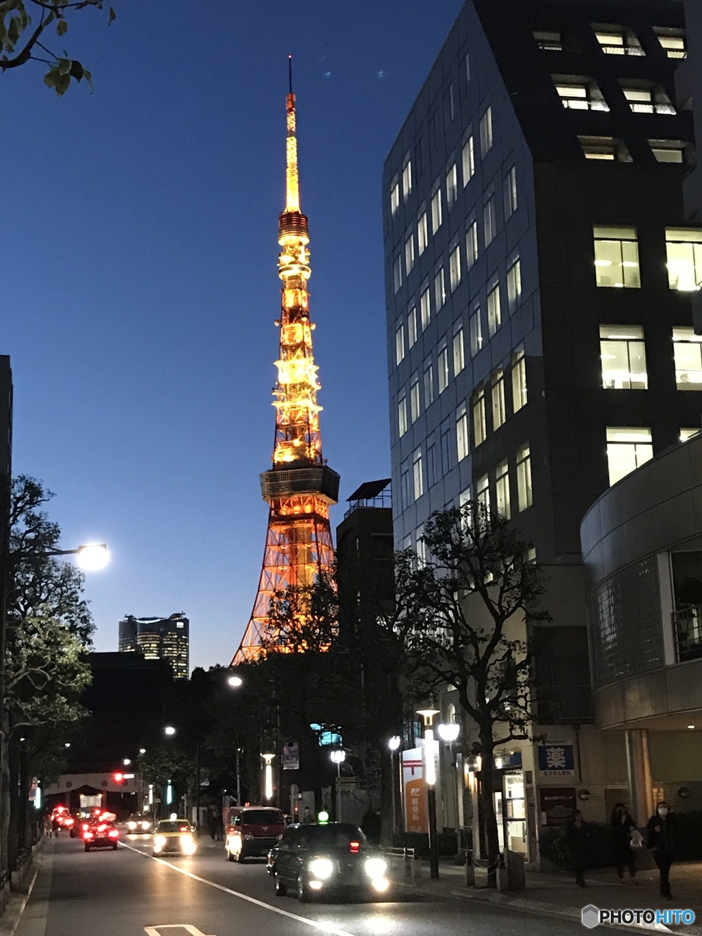 大好き