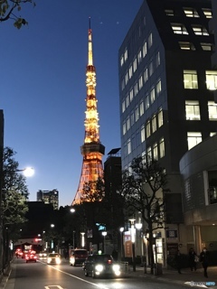 大好き