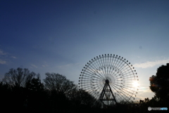 Ferris wheel
