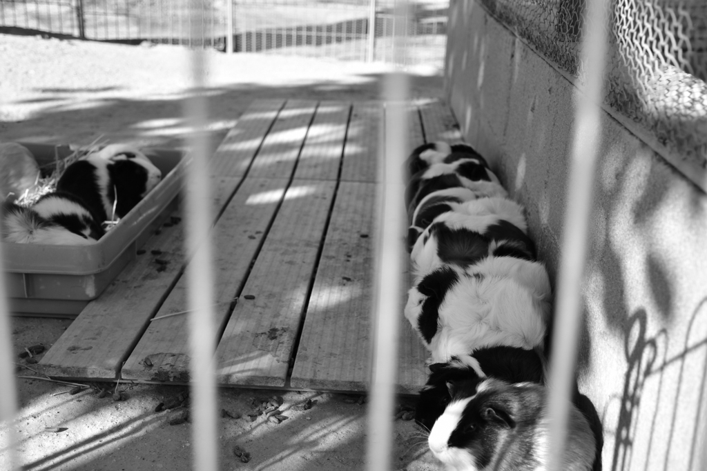 611C1BE3-526B-4854-876F-B70677444A70