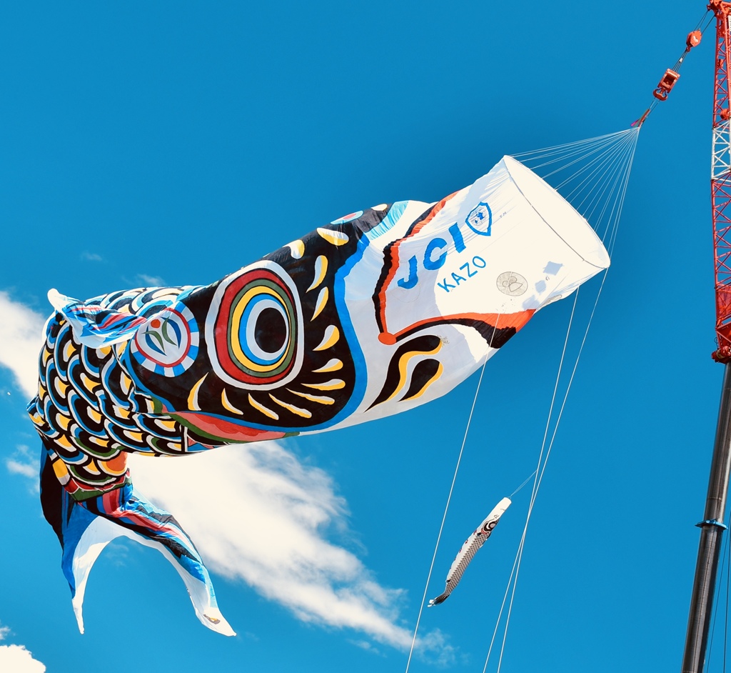 3AA8DBF9-73FF-4B4B-9955-DD0ECD60F533