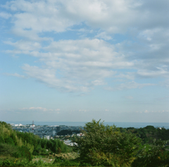 農園の風景①