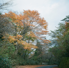 金時山からの帰り道