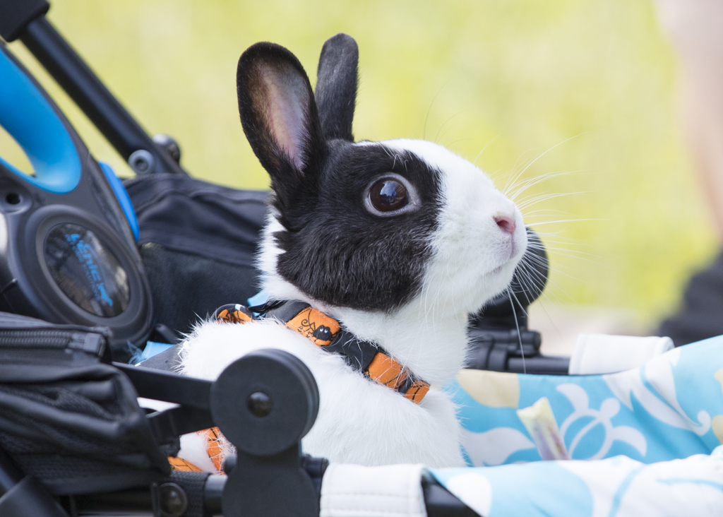 これからおでかけ