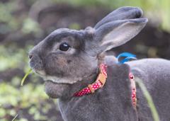 きみはどこをみつめているの