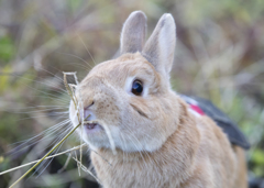 これおいしいな