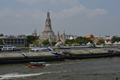 Wat Arun 15