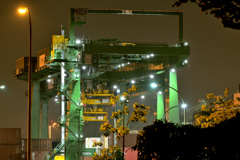 Gantry Crane 01