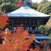 紅葉越しの大聖院