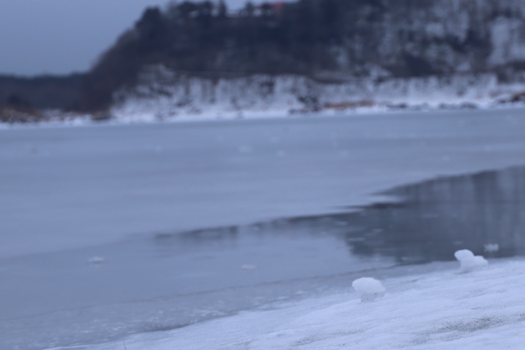 精進湖 湖面氷結
