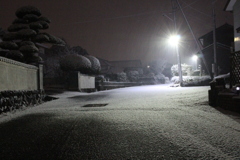 ２月１２日雪