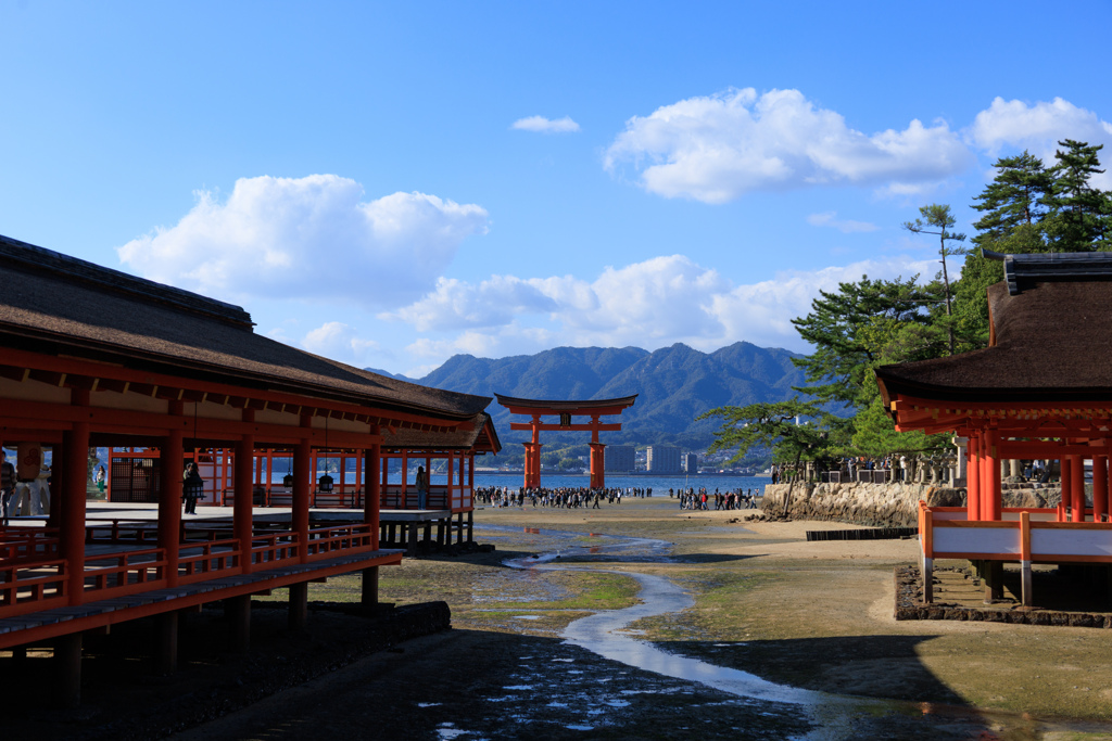 安芸の宮島