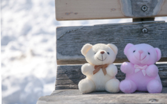 雪とぬいぐるみ