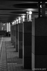 DSC03800-1