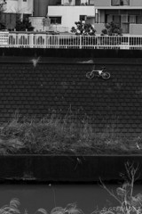 DSC02761-1