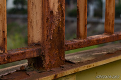 DSC03848-1