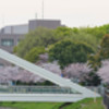 491A3799-1