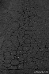 DSC03842-1