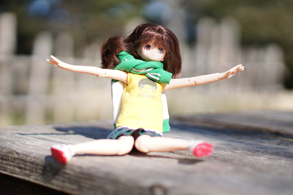 doll2