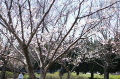 DSC03766