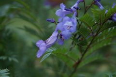 DSC03879