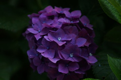 DSC03871