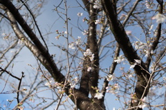 DSC03761
