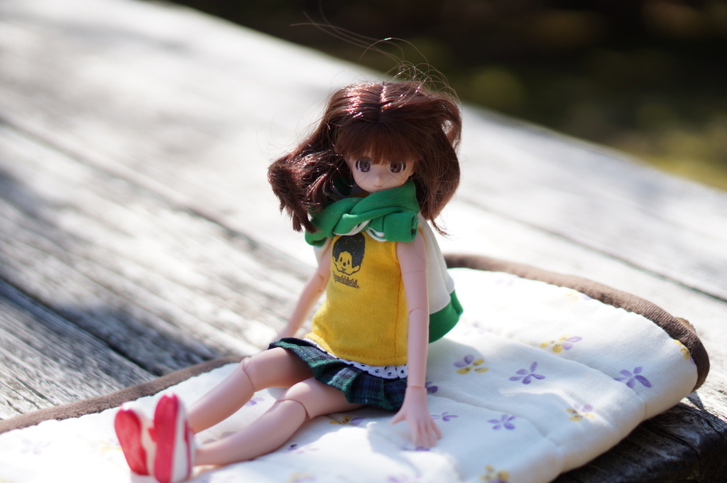 doll6