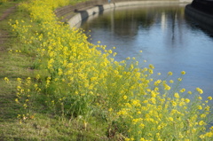 DSC03765