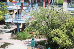DSC03828