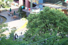 DSC03833