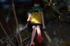 doll4