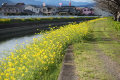 DSC03756