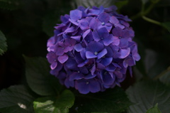 DSC03870