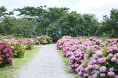 DSC03850
