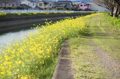 DSC03757