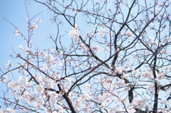 DSC03797