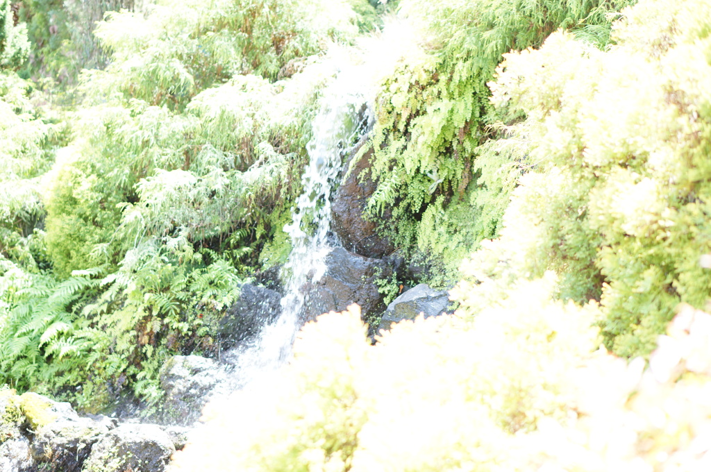 DSC03826