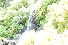 DSC03826