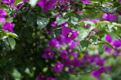 DSC03872