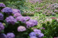 DSC03875