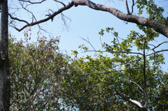 DSC03779