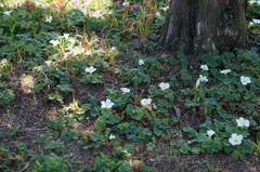 DSC03798