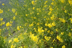 DSC03758