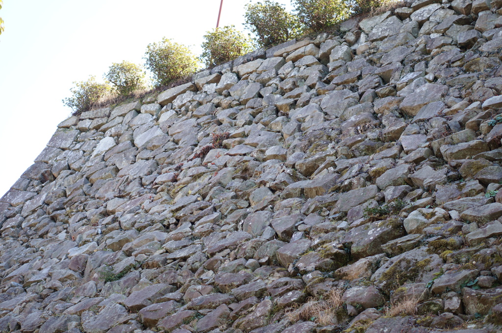 senningorosi2