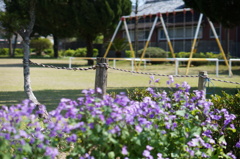 DSC03783