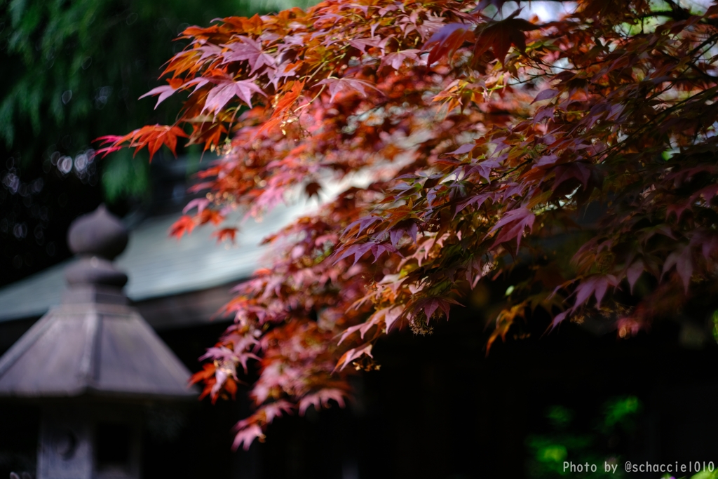 Colourful shrine