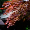 Colourful shrine