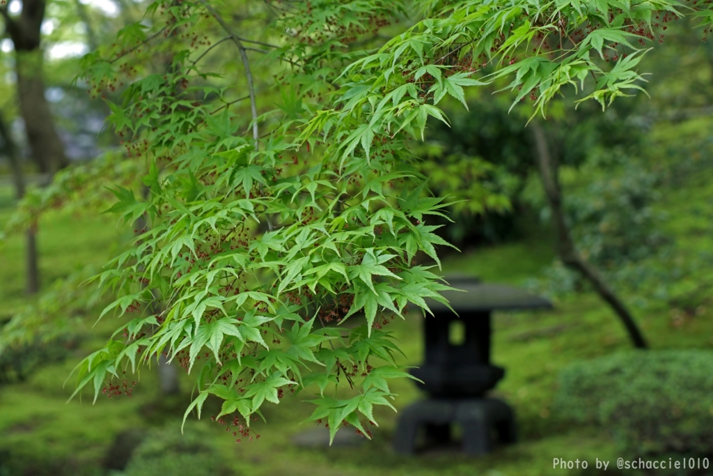Zen mix